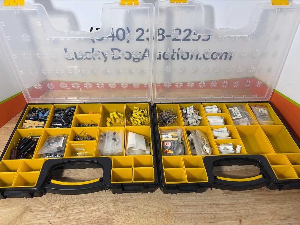 Two Organizer Cases with Capacitors, Resistors, and More