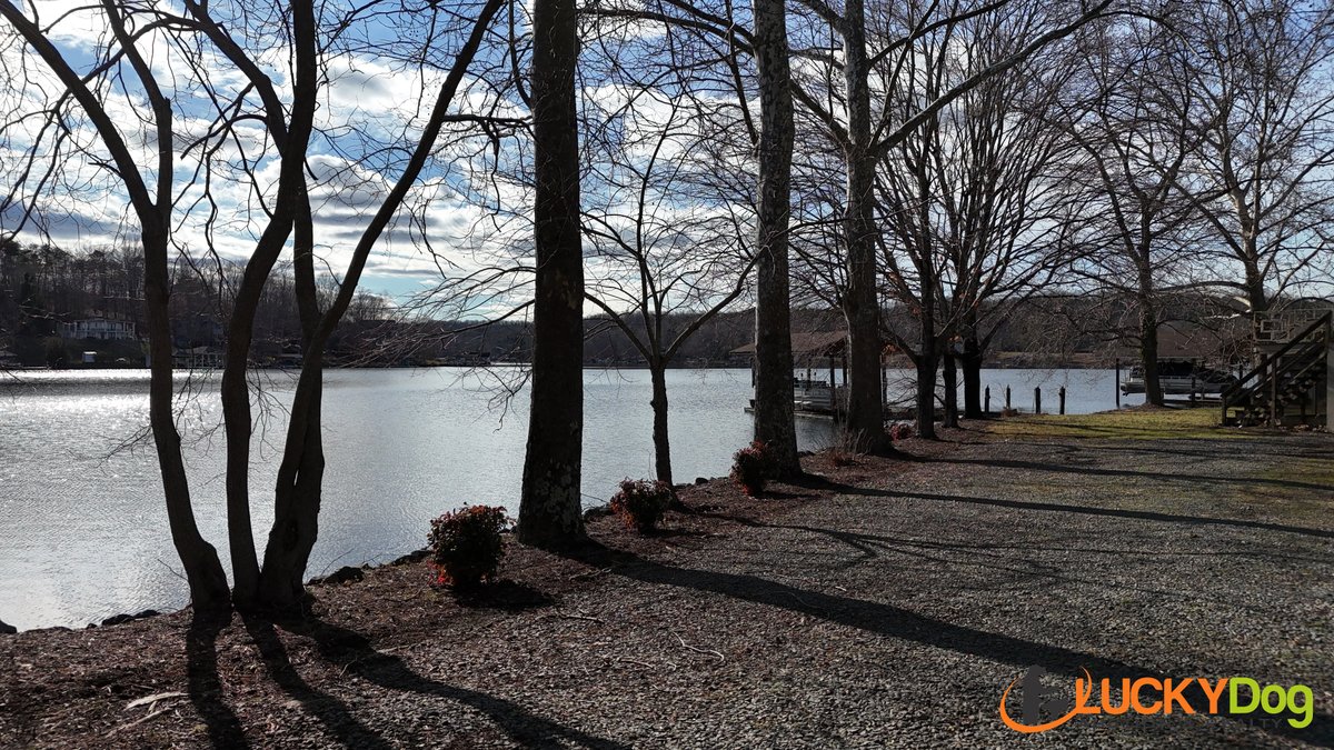 Image for 1105 Belle Isle Dr Real Estate Auction
