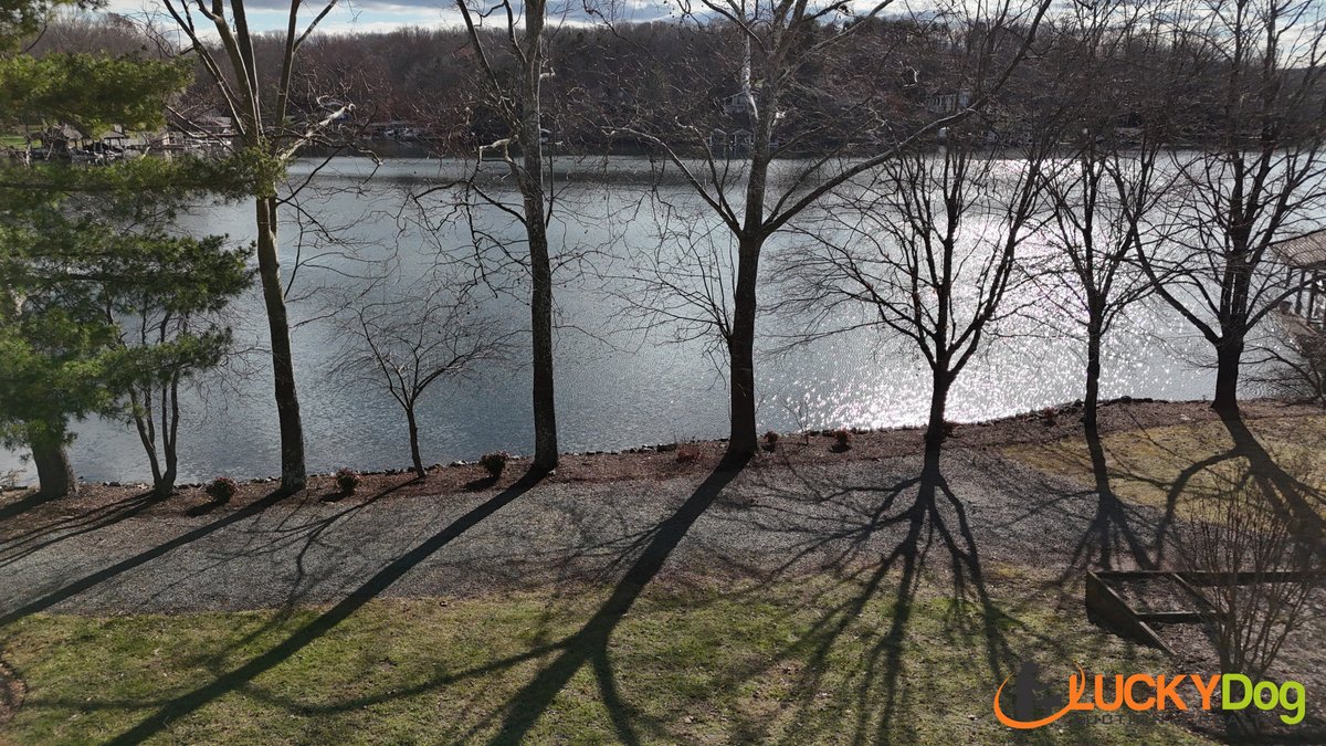 Image for 1105 Belle Isle Dr Real Estate Auction