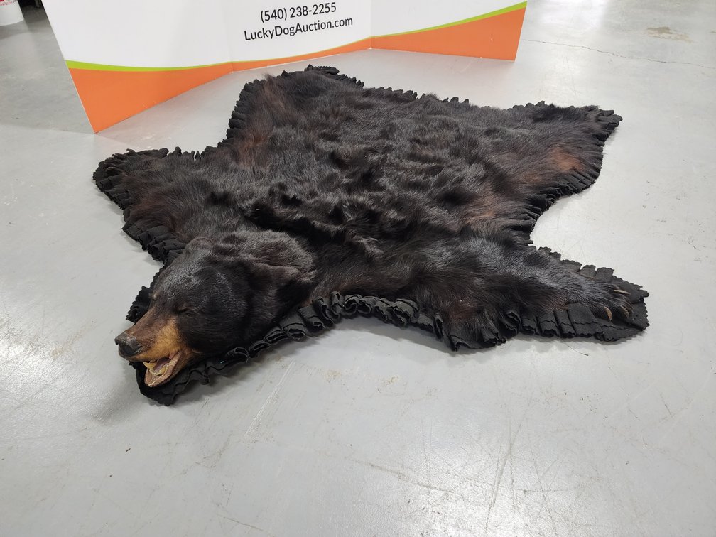 Black Bear Area Rug Measures 75" Long x 66" Wide 