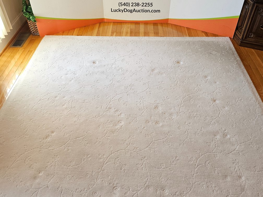 Area Rug w/ Pad - Measures 114" x 84" 