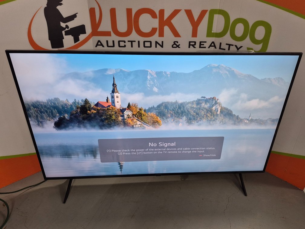 LG 65" Flat Screen TV (No Remote) 