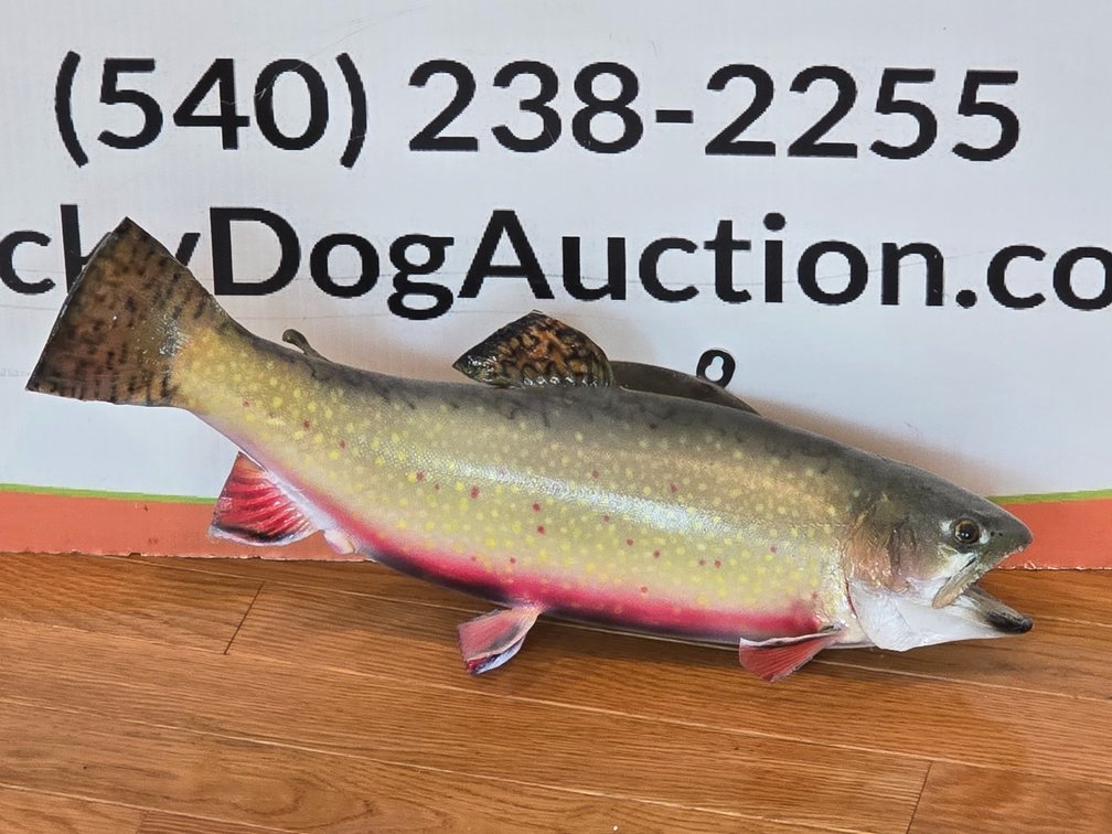 Brook Trout - 17" L