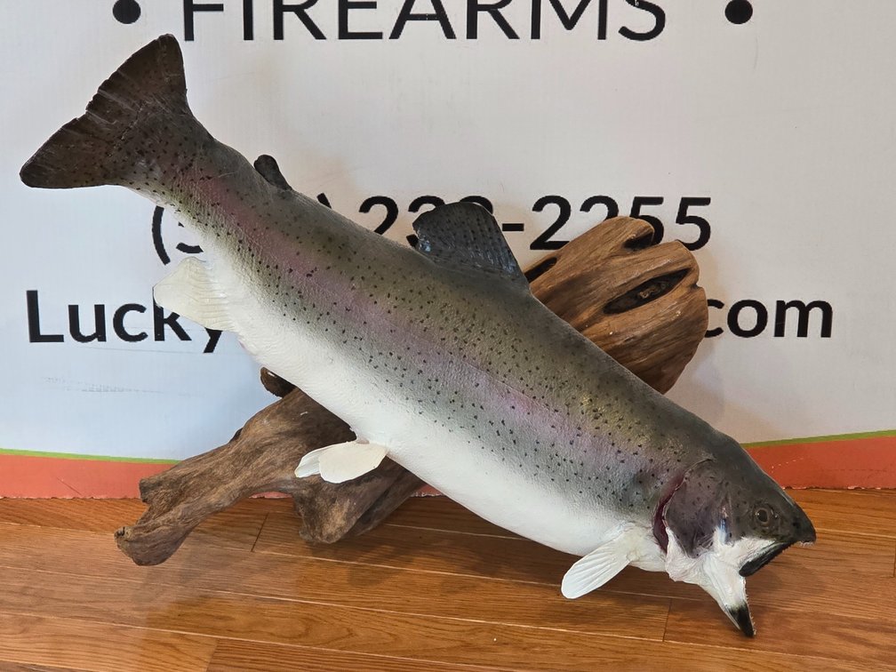 Rainbow Trout on Driftwood - 24" L
