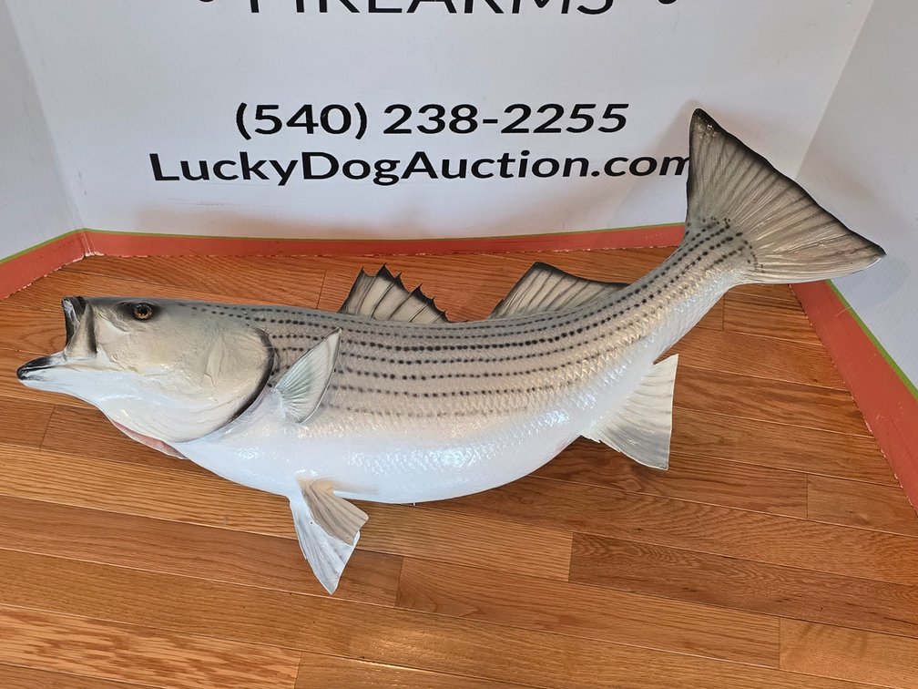 Striper - 33" L