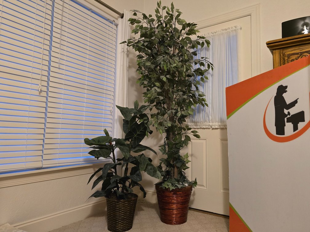 (2) Artificial Plants 
