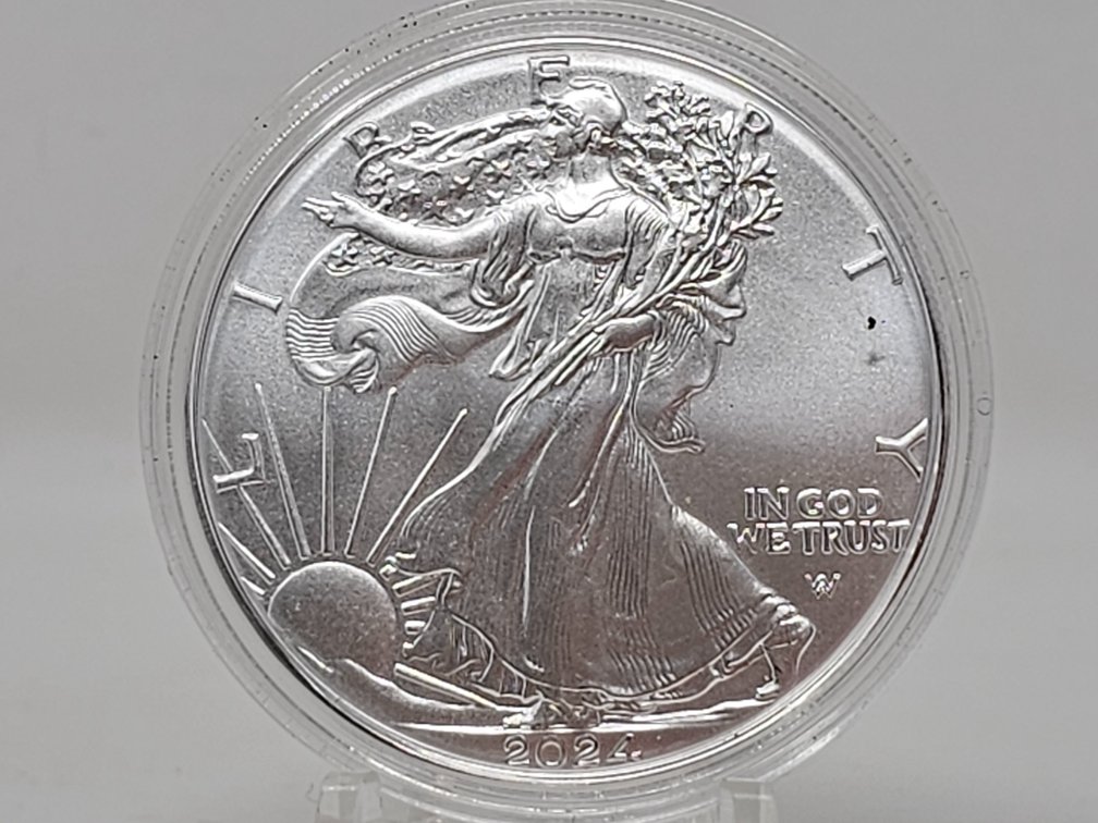 2024 American Silver Eagle 1 Oz .999 Silver Dollar w/ Capsule 