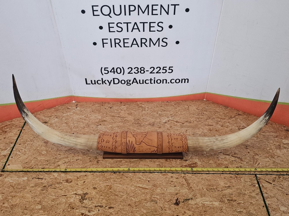 Longhorn Steer Horn Mount - Needs Repair