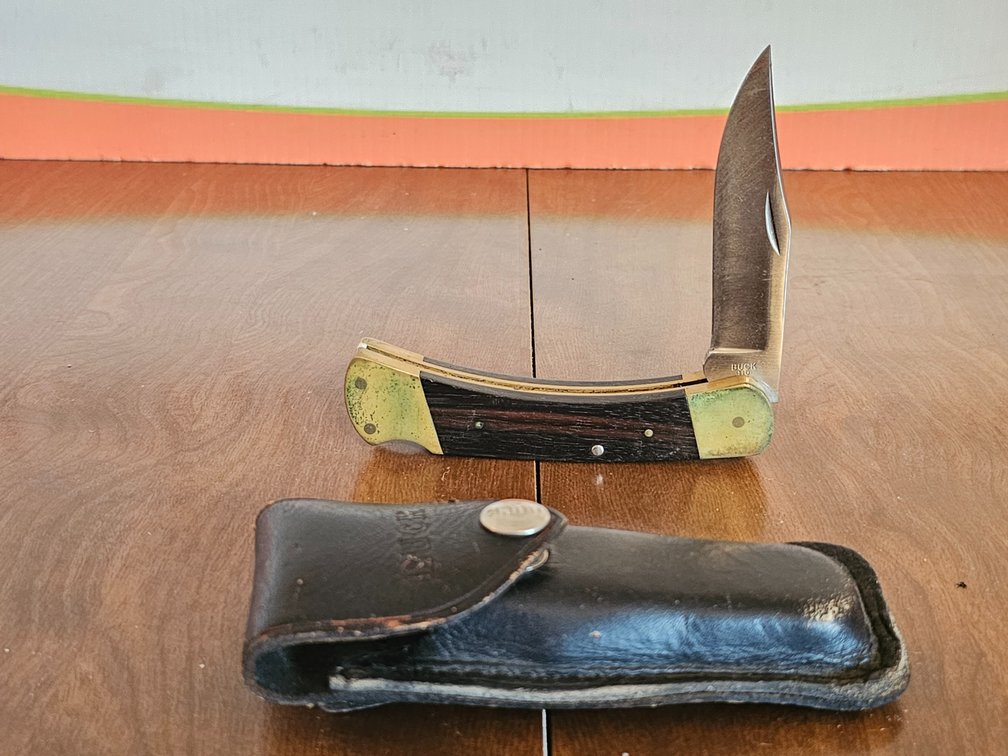 Buck 110 Used Pocket Folding Knife w/ Leather Case