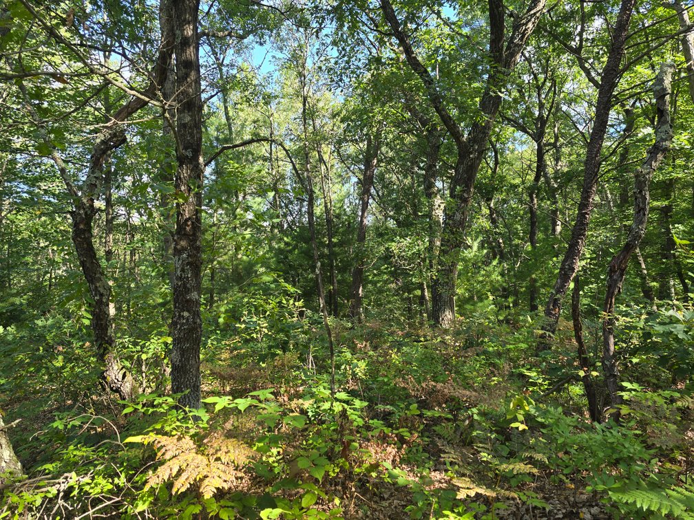 Image for 4.27 Acres State Highway 27, SPARTA Town of Little Falls FOR SALE