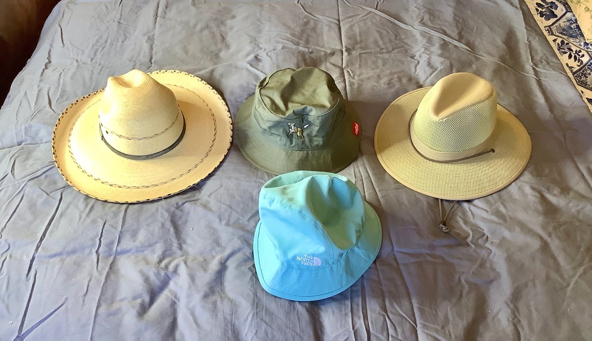Ladies Hats