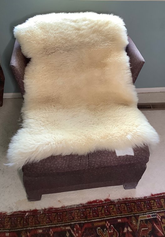 Animal Pelt