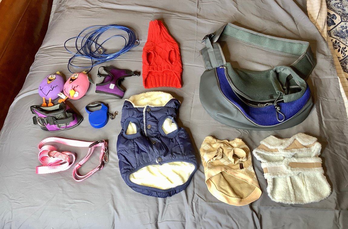 Pet Accessories