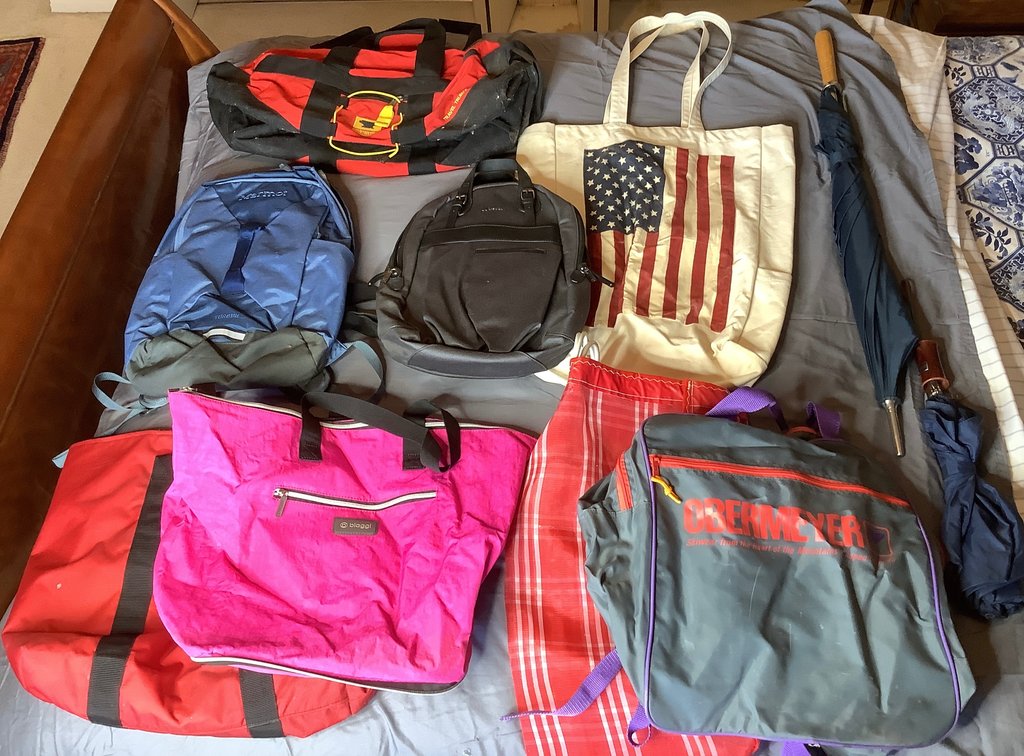 Travel Bags and Umbrellas
