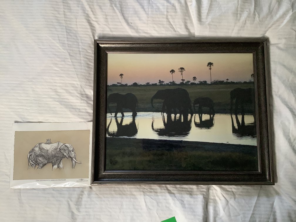 Elephant Prints