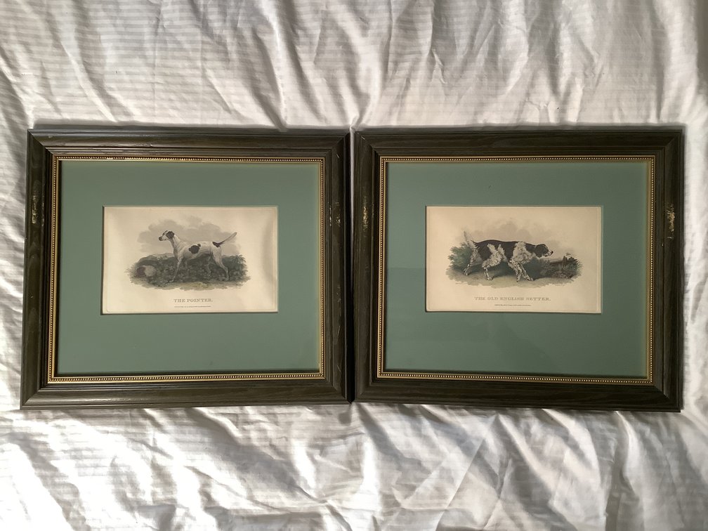 Bunny and Gold Prints