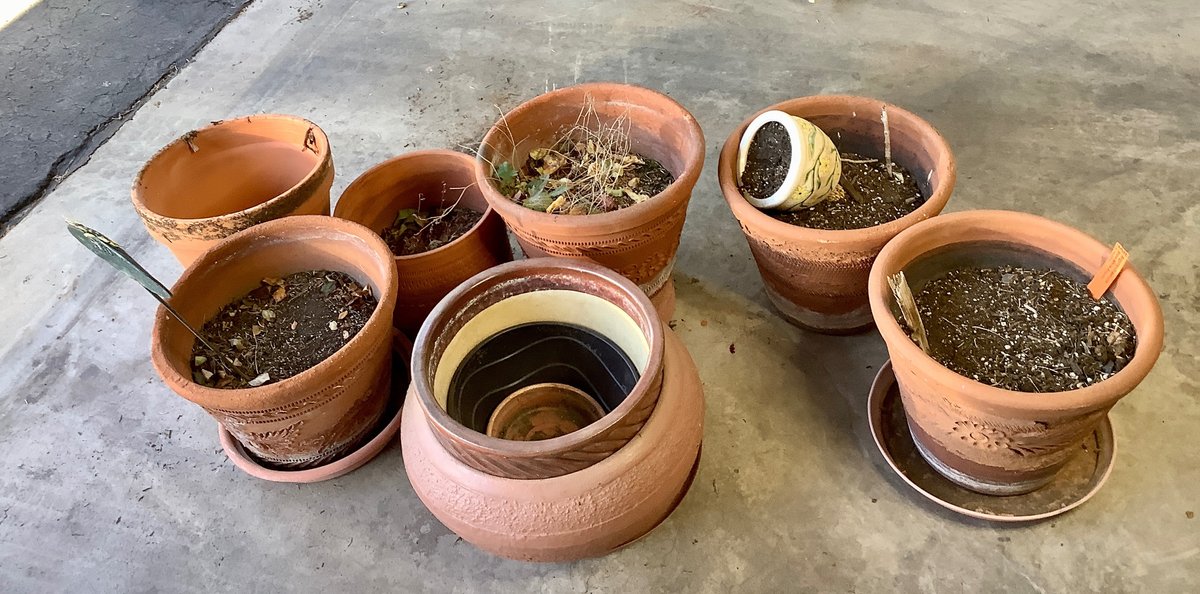 Terra Cotta Pots