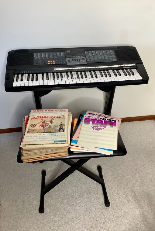 Casio Keyboard and Stand