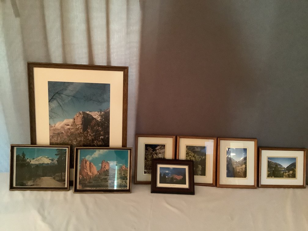Framed Nature Art
