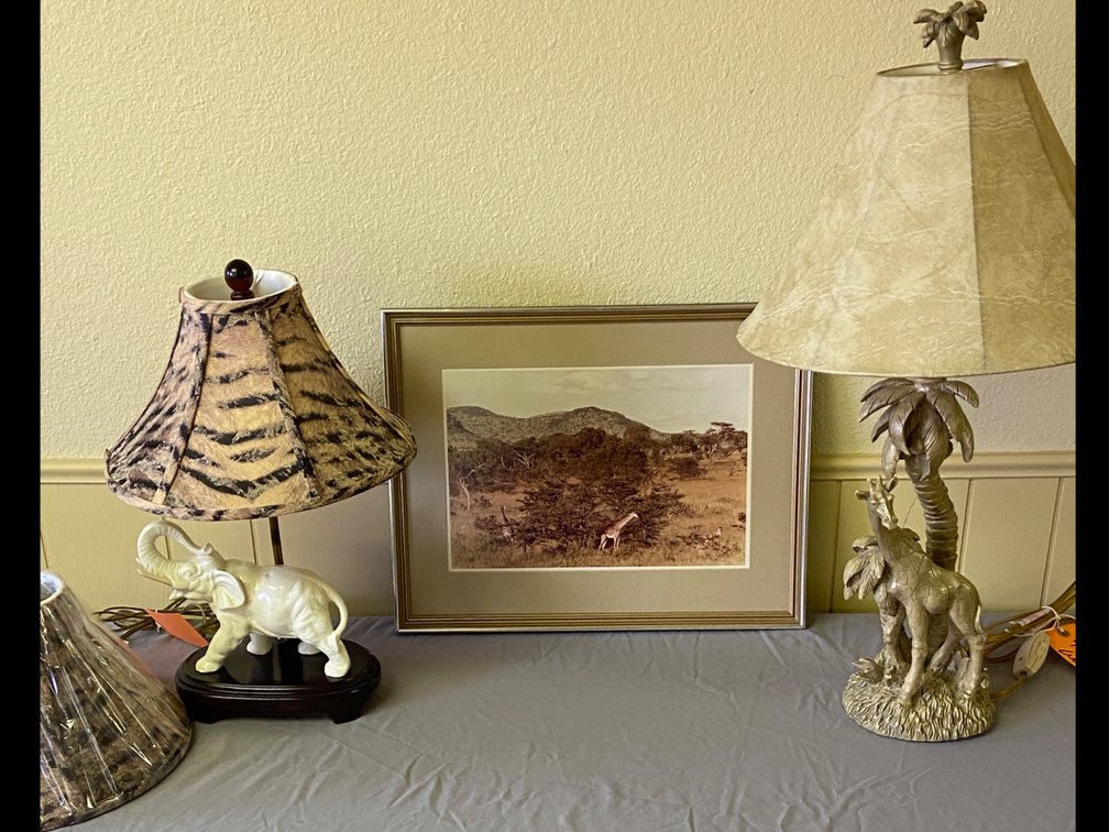Giraffes and Elephants!