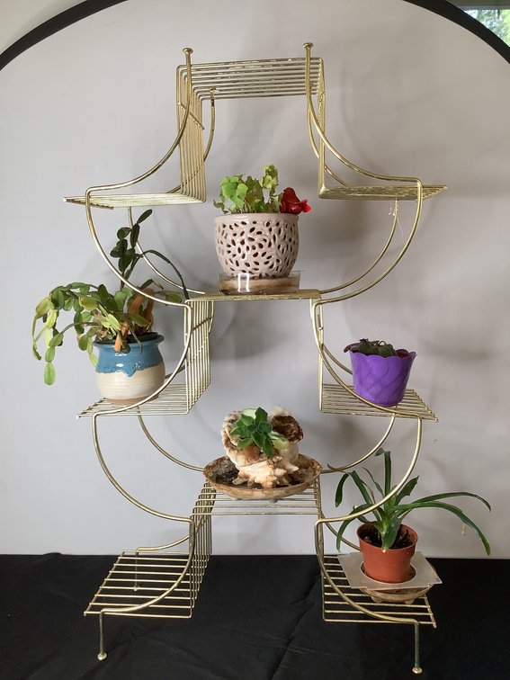 Christmas Cactus, African Violets and Plant Stand