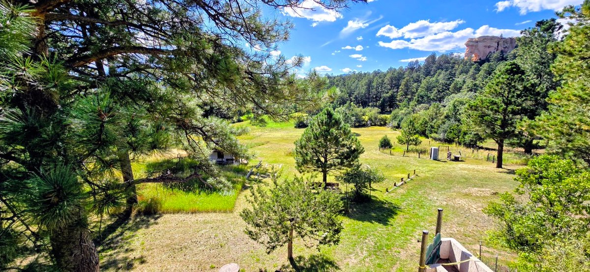 Image for Capella Dr Real Estate Auction