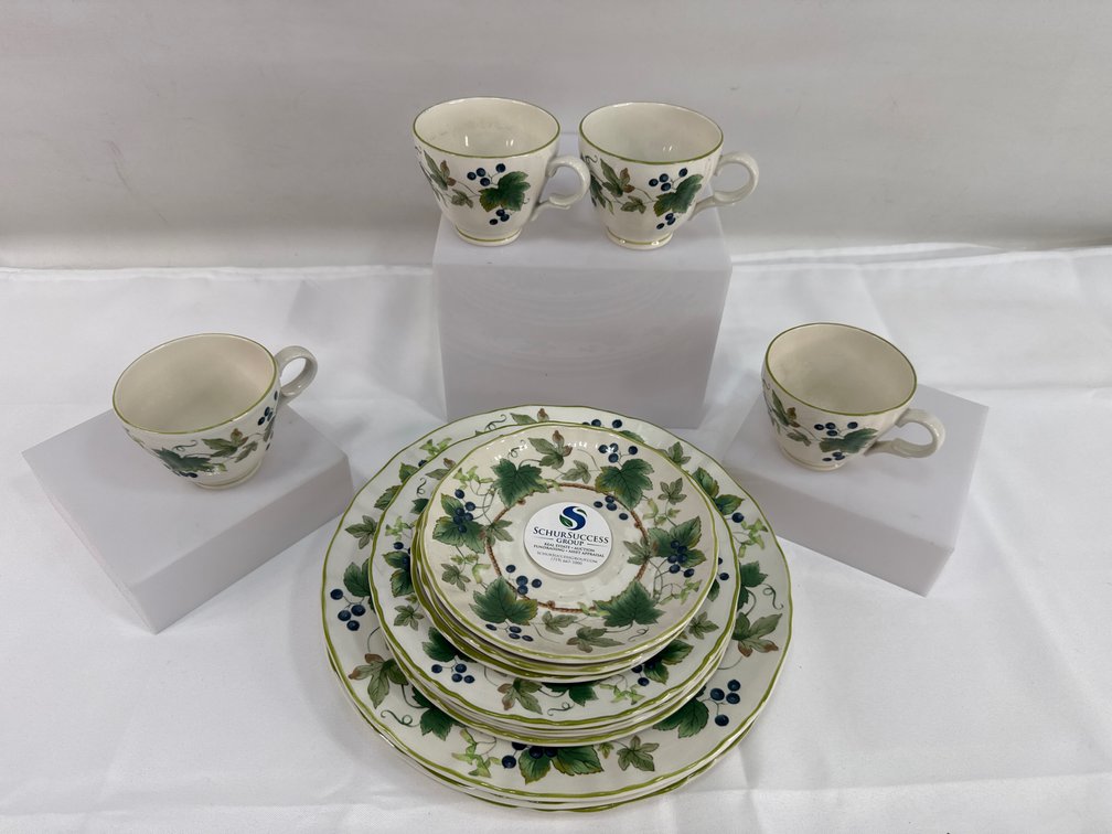 Mikasa "Chelsea Vine" Place Settings