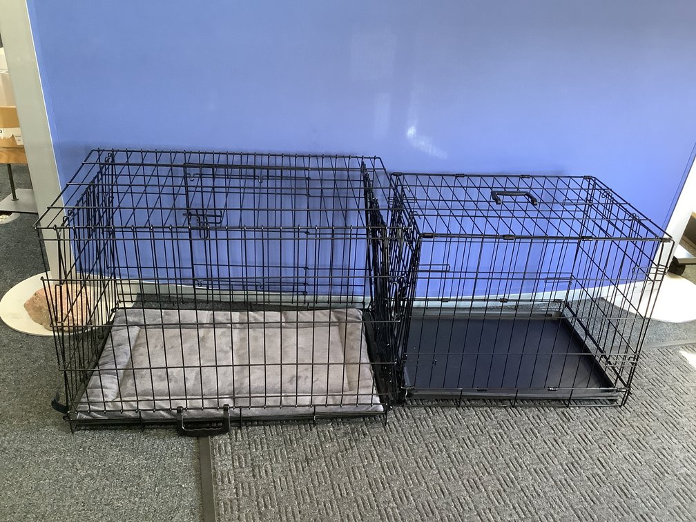 More Dog Crates