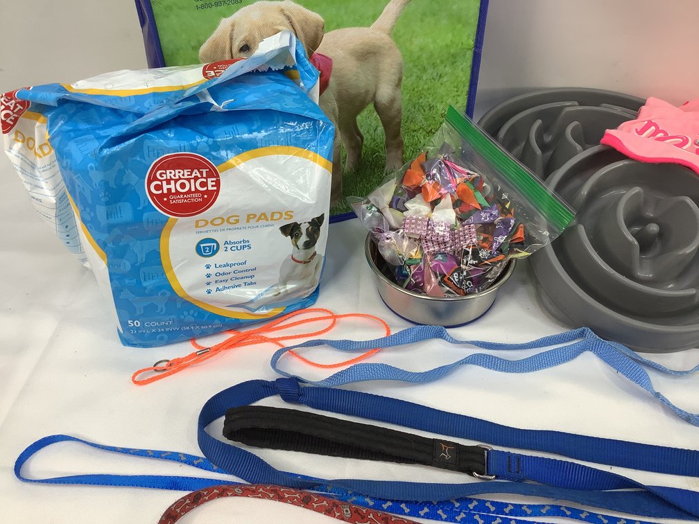 Dog Supplies