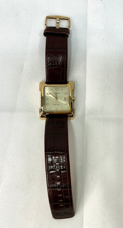 Fossil Watch