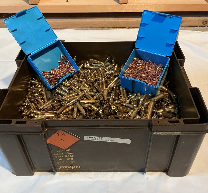 Empty Brass Casings