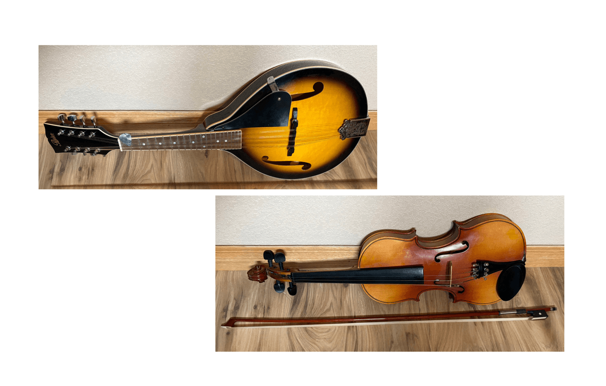 Violin and Mandolin