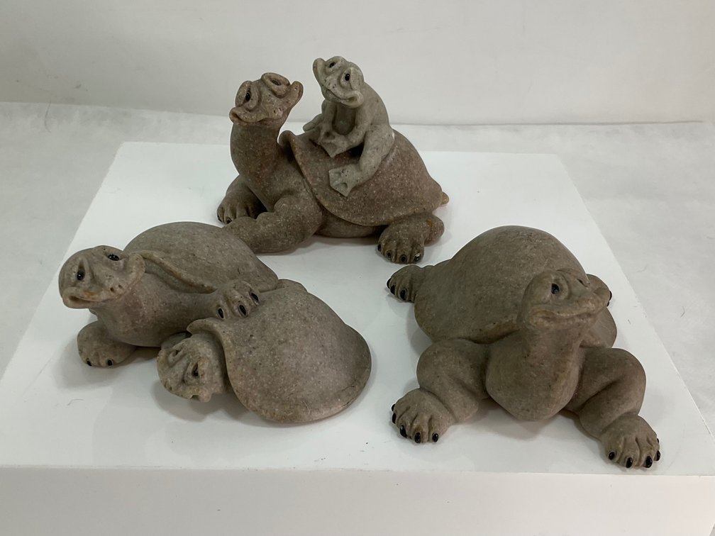 Quarry Tortoises