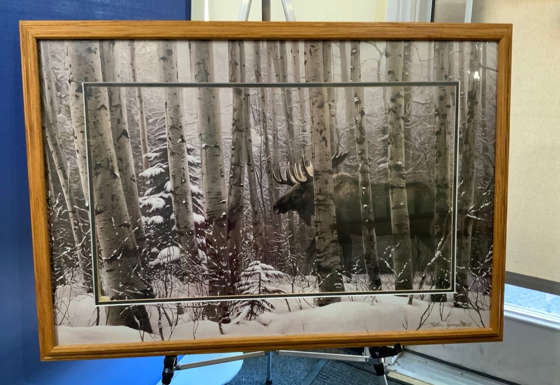 "A Walk in the Woods " by Stephen Lyman