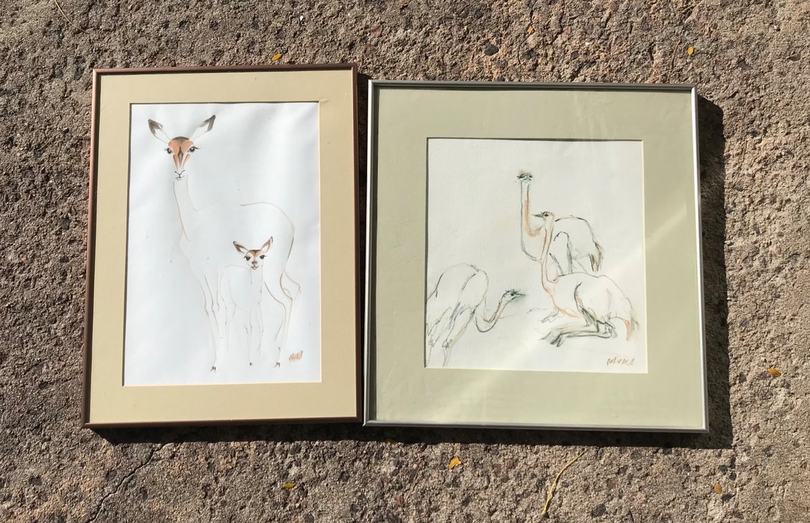 Framed Wildlife Illustrations in Metal Frames