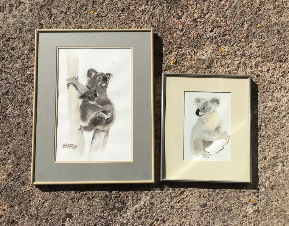 Framed Koala Watercolor Paintings