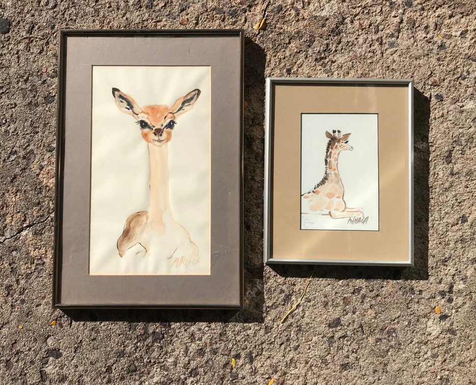 Mahala Framed Watercolor Animal Paintings