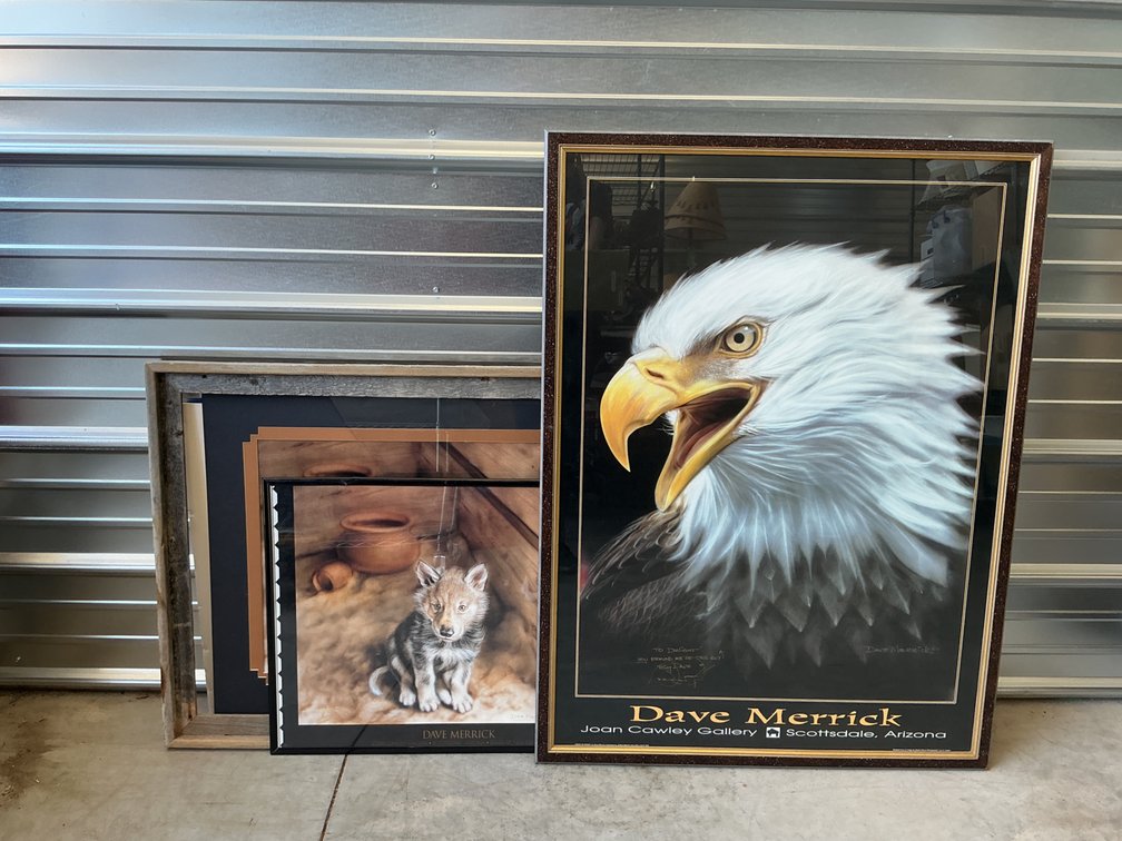 Dave Merrick Framed Wildlife Art Prints