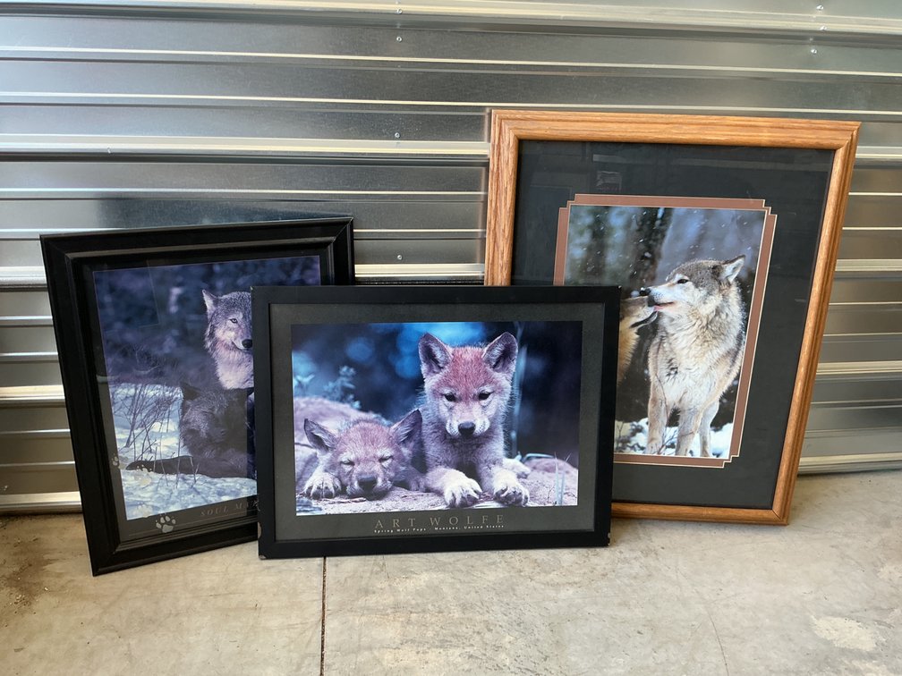 Framed Wolf Photographic and Wildlife Art Prints