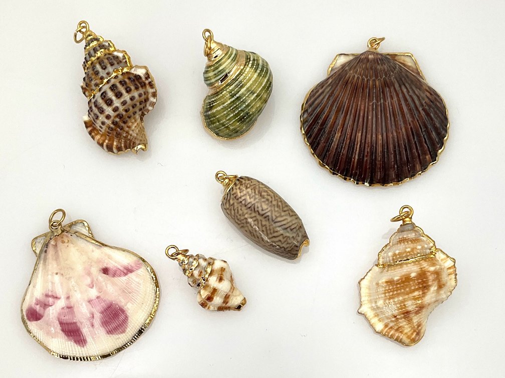 Natural Seashell Pendants with Gold-Tone Trim