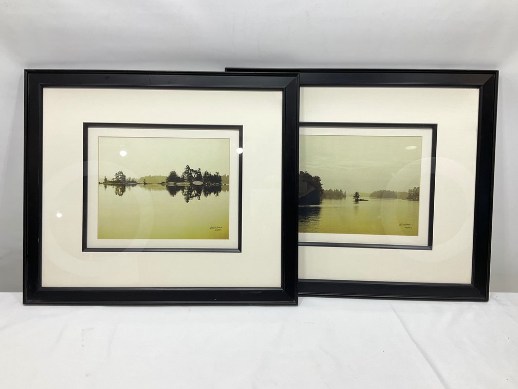 Alicia Soave Still Morning I & II Framed Art Prints