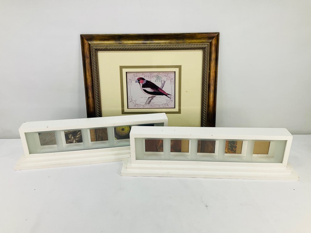 Framed Bird Print and Two Multi-Opening Display Frames