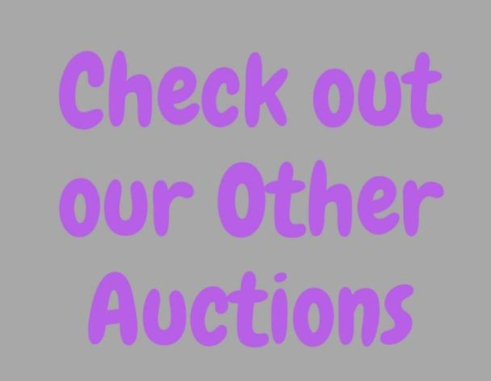 We have several other auctions going on right now!