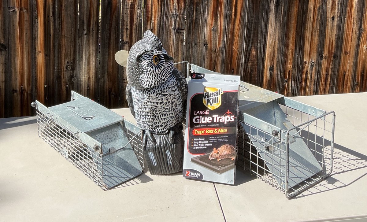 Animal Traps
