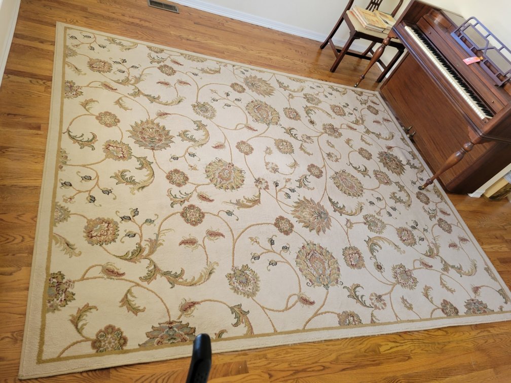 Dalyn Rug Company Bradford BR8623 Polypropylene Area Rug