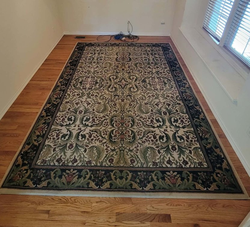 Grand Legacy Celebration Ivory/Black Area Rug