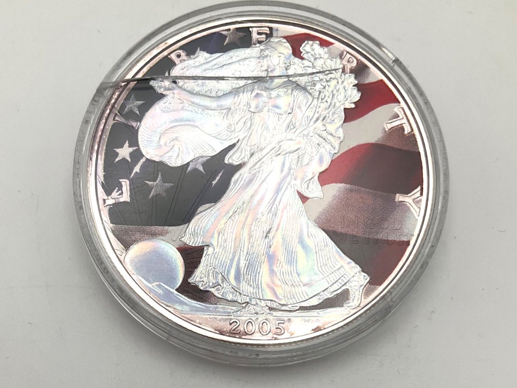 2005 Colorized 1 oz American Silver Eagle