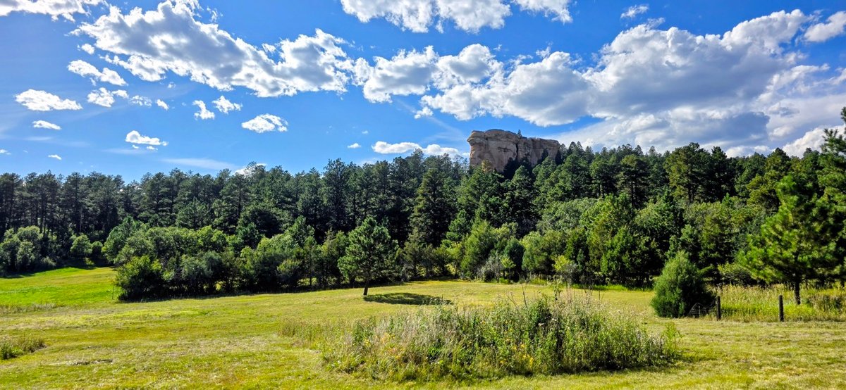 Image for Capella Drive Real Estate Auction