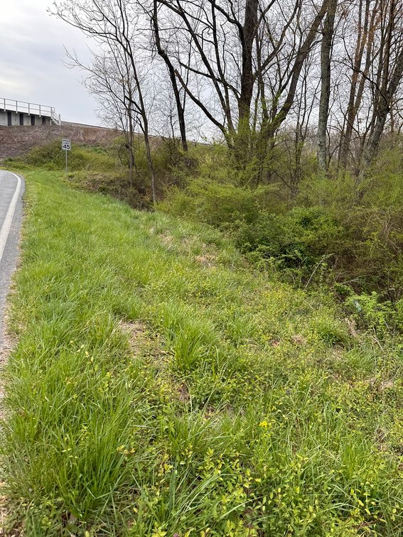 Image for 10 lots-N Main St Gretna VA Selling All For One Money!