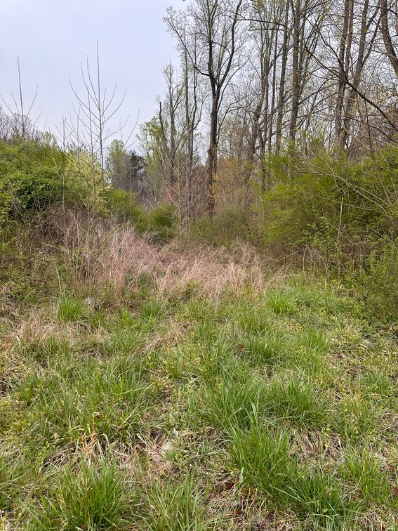 Image for 10 lots-N Main St Gretna VA Selling All For One Money!